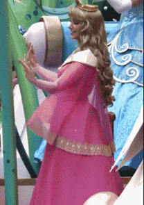 服装gif公主gif神奇gif公主裙gif