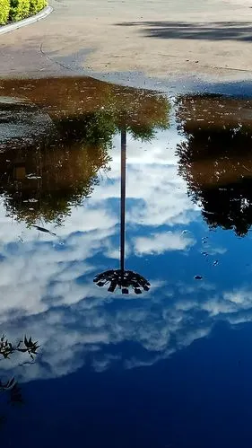 雨后,雨水中倒影