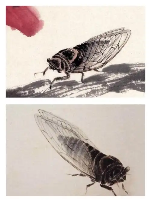 《夏至～二候蝉始鸣》