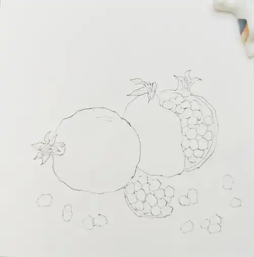 坚持手绘第9幅:石榴
