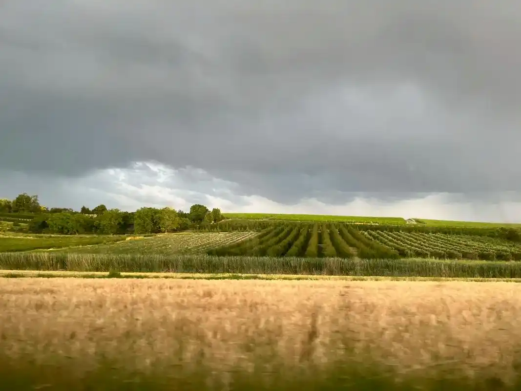 感谢德国大农村,让我一秒回国.昨天和德国人去一个镇子吃饭 说 - 抖音