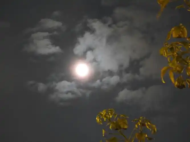 八月十五的月亮