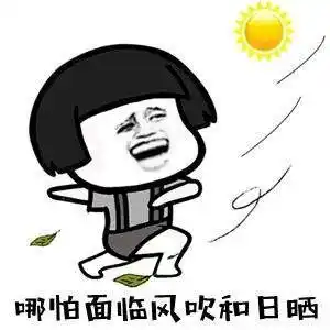 搞笑版笑傲江湖表情包:我手提一条大麻袋,头上顶着烂锅盖