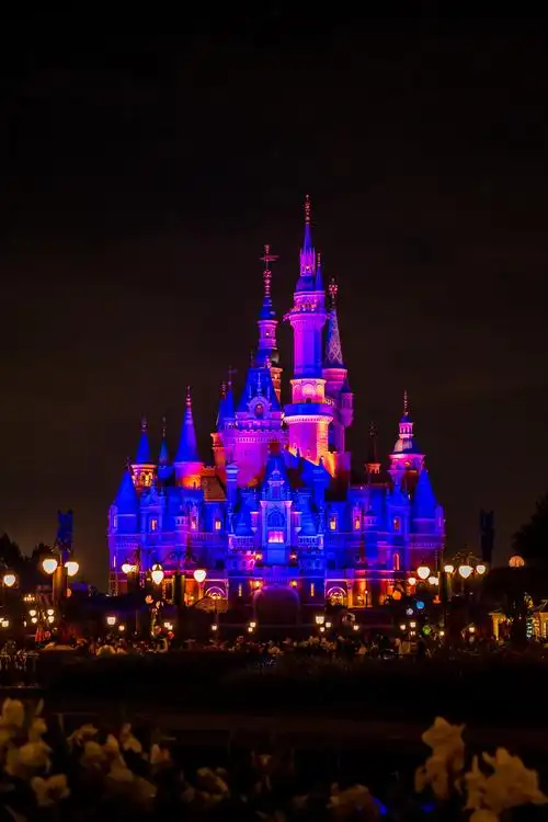 上海迪士尼城堡夜景灯光秀