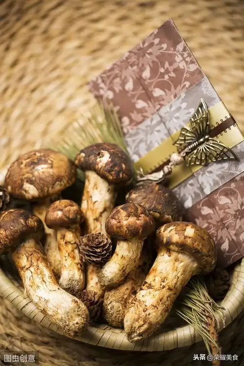 春季是吃食用菌的好时节新鲜姬松茸是广式滋补汤的好材料真棒