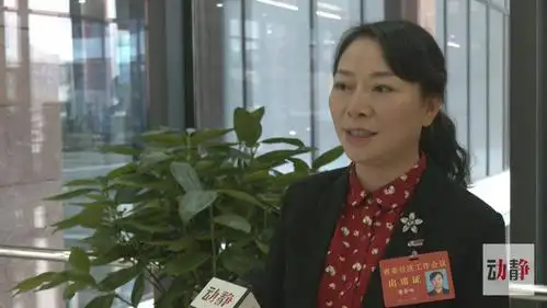 镇宁县县长 潘登岭镇宁县县长潘登岭表示,这次经济工作会议,提到了要