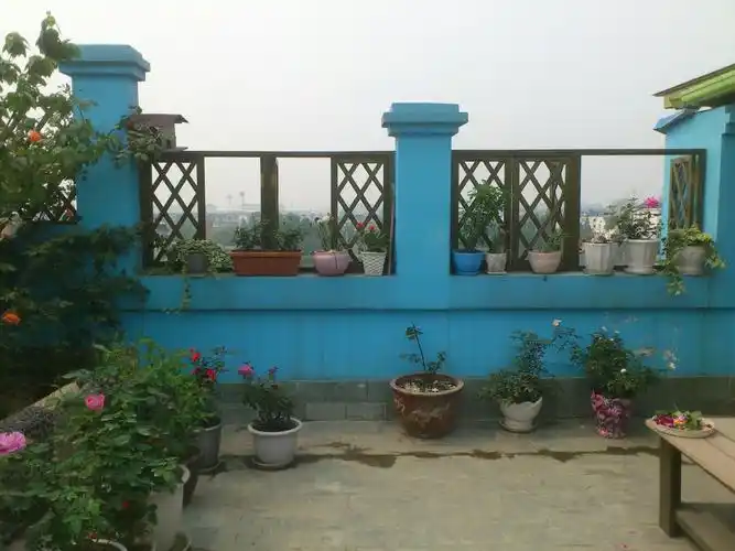 有谁分享一下自家美丽的自建花园