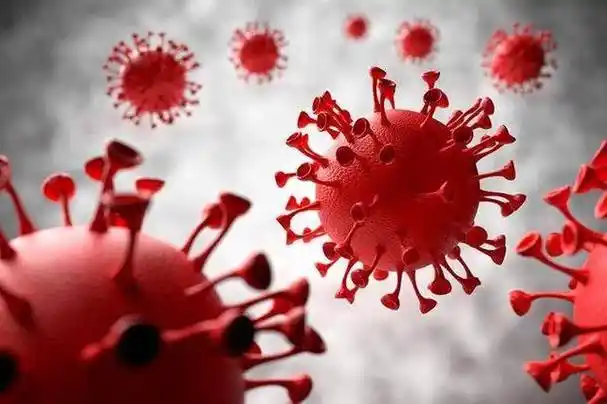 新冠病毒感染的无热症状根据世界卫生组织的报告,大约80%的新冠病毒