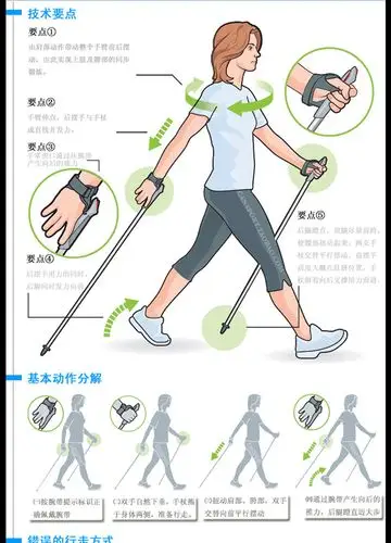 主体 品牌 诺可文rocvan 类别 登山                      徒步杖*2