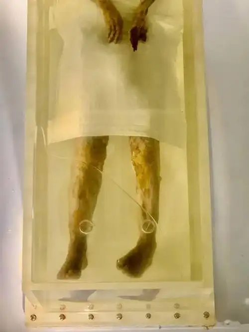 67千古之谜凌惠平陈列周倜分享连云港市博物馆下篇