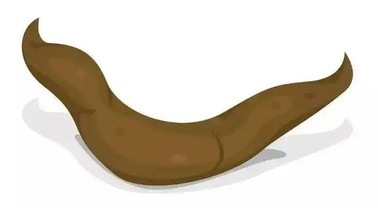 大便扁薄除了肿瘤还有什么情况也会变成这样