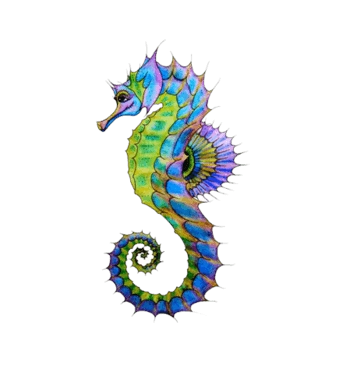 彩色的海马素材图片