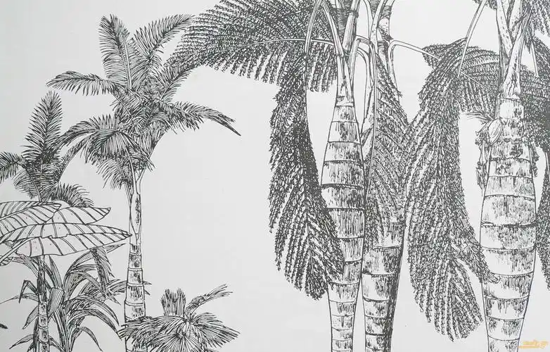 丁绍光版纳白描写生作品集