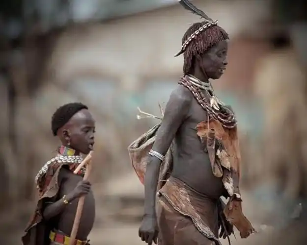 原始人死亡率非常高的原因.一是原始人很容易受到伤害.