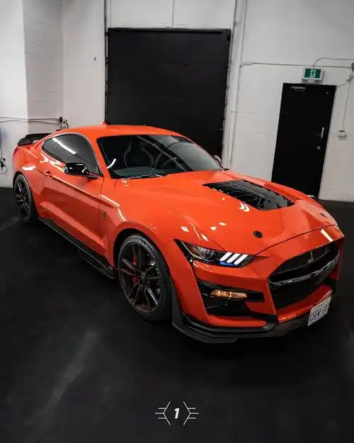 福特野马眼镜蛇mustang shelby gt500