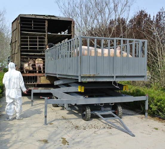 厂家供应 拉猪升降机 猪笼升降机 畜牧升降机 装卸猪台升降机 xzt