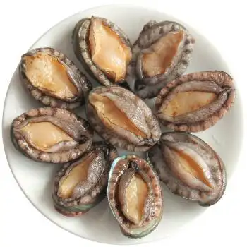 大菜园鲍鱼新鲜鲍鱼迷你鲍鱼鲜活鲍鱼仔青岛崂山小鲍鱼仔1kg2斤