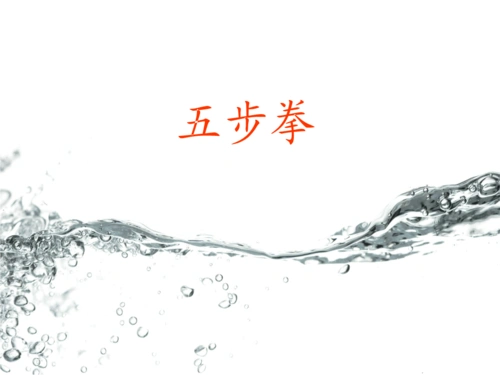 小学体育课件:《五步拳》课件.ppt