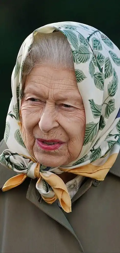 95岁英女王终于亮相!穿大衣裹头巾内搭格纹裙,老太太变得更俏皮-时尚-