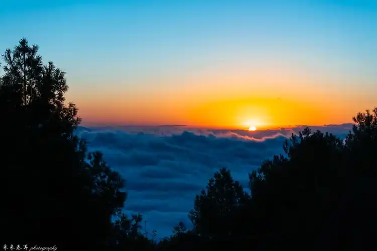 优雅的黑颈鹤 日出云海与村庄 念湖的唯美协奏曲_人生