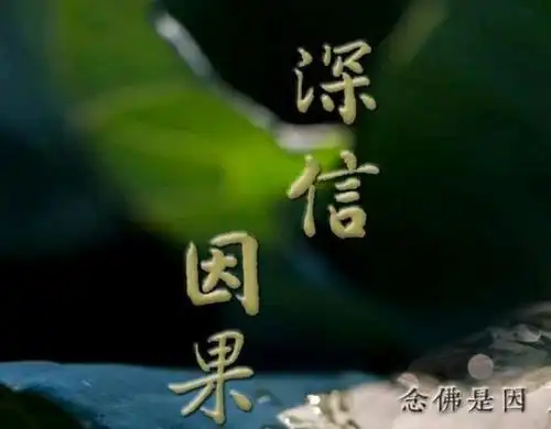 因果报应丝毫不虚