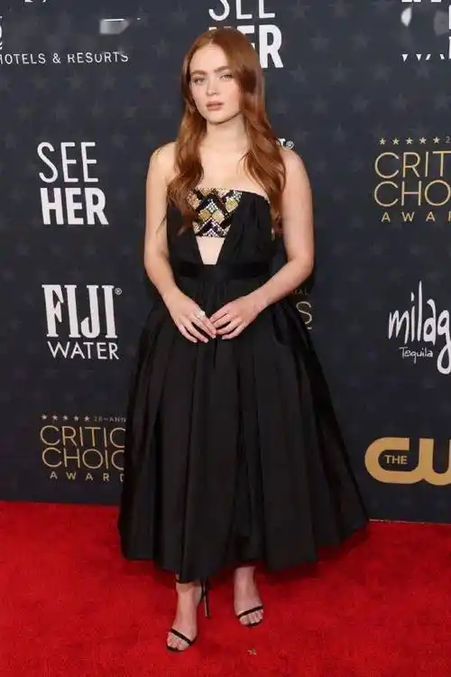 jeremy allen white安东尼·斯塔尔塞巴斯蒂安·斯坦jennifer