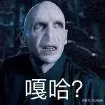 伏地魔的表情包和段子也层出不穷.