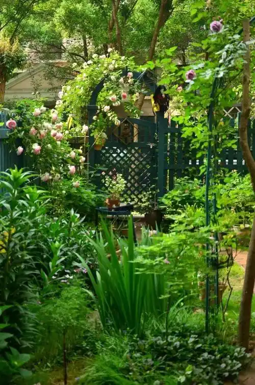 原创小夫妻俩历时5年,亲手打造60㎡庭院花园,体会城市中的田园生活