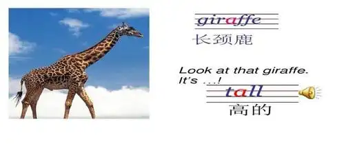 长颈鹿的英语复数该怎么写呢?