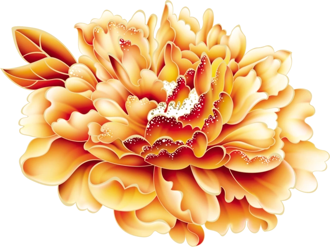 金色牡丹花高清素材图片