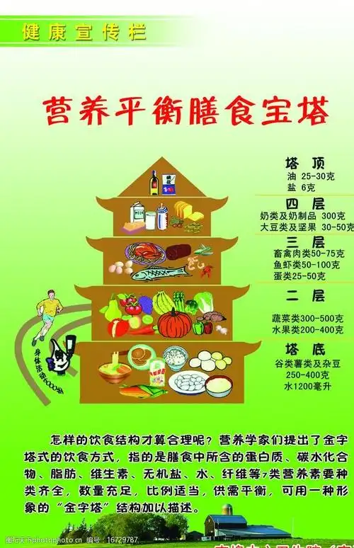 营养平衡膳食宝塔图片