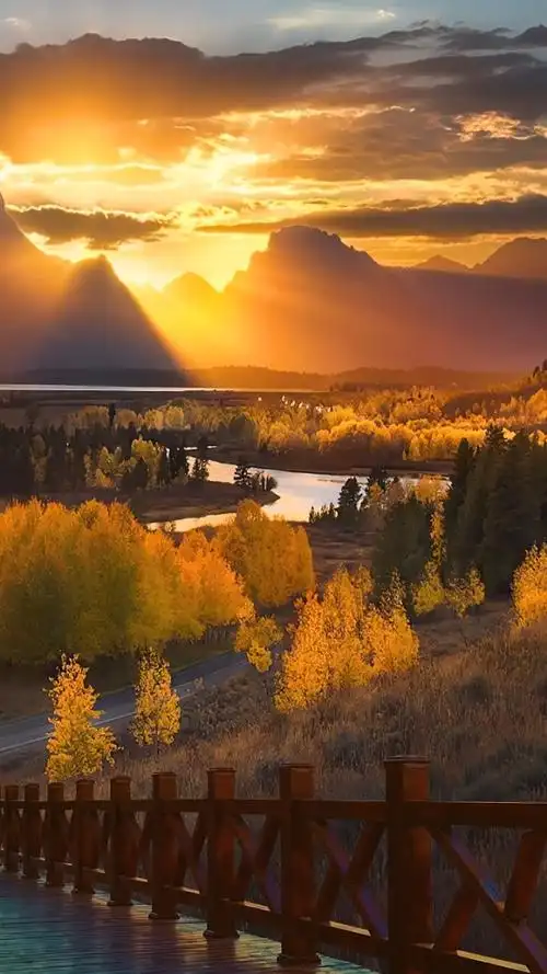 最能治愈人心的,便是这世间最美好的风景