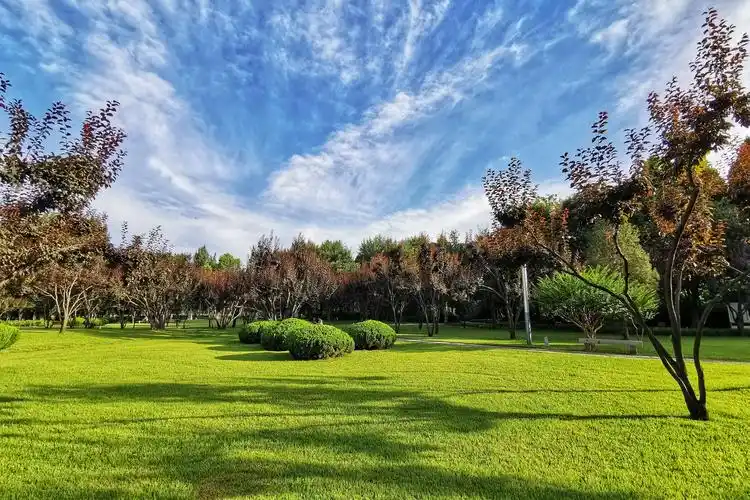 蓝天白云下的达活泉公园