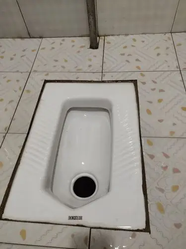 11组厕所革命户厕照片(2)