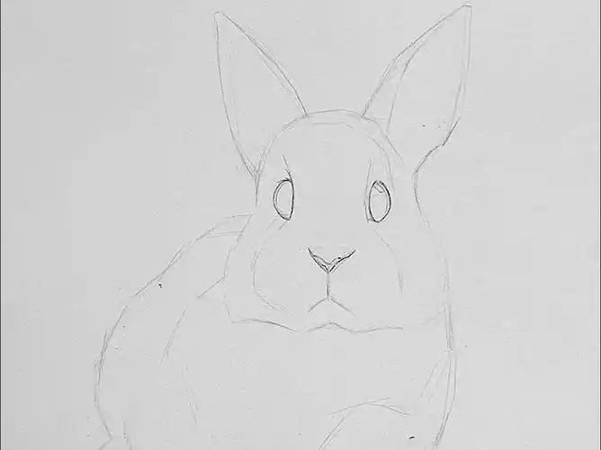素描动物之-兔子