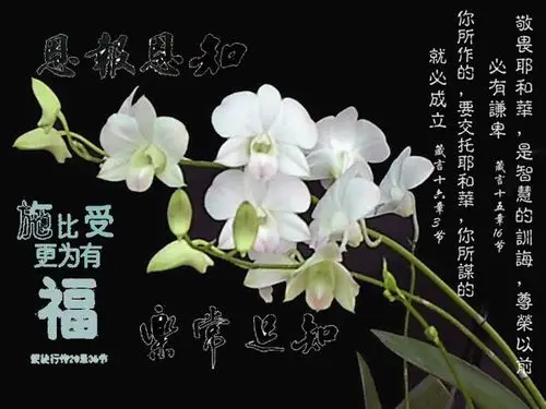 富足的的确确是神的恩典和赏赐,但蒙恩的人不可在恩典中失去谨慎