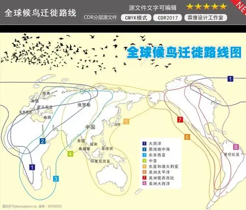 全国候鸟迁徙路线图
