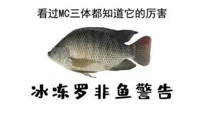 三体冰冻罗非鱼什么梗