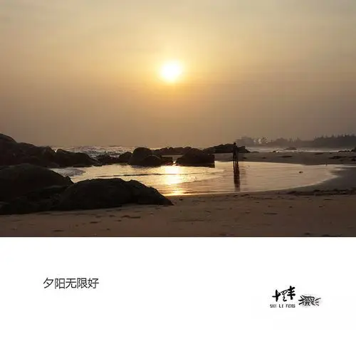 夕阳无限好