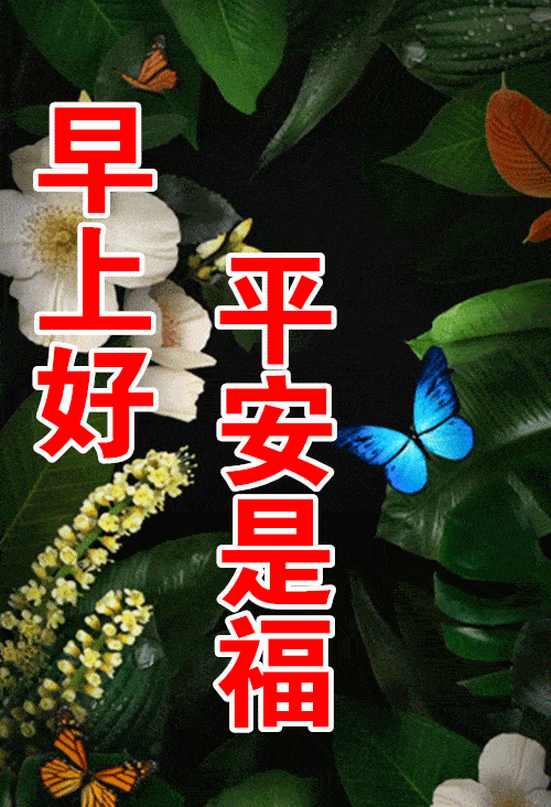 3月22日最漂亮早上好动态表情图片大全,早晨好动图美图大全