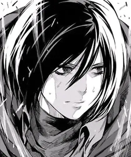 三笠【黑白】- ( _ ) 认准凉子君萌萌哒小尾巴哦