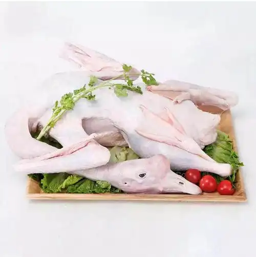 广东新款单品黑棕鹅农家散养老土新鲜大鹅现杀鹅肉