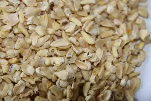 蕙兰面业新品~玉米胚芽预热中