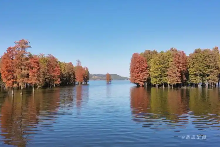 浙江余姚四明山的秋景