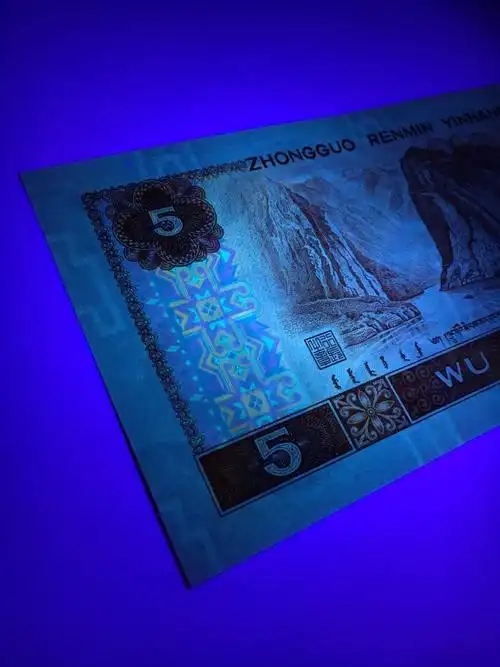 苍松翠鹤之绿苍松惠拍805名贵荧光品种苍松翠鹤