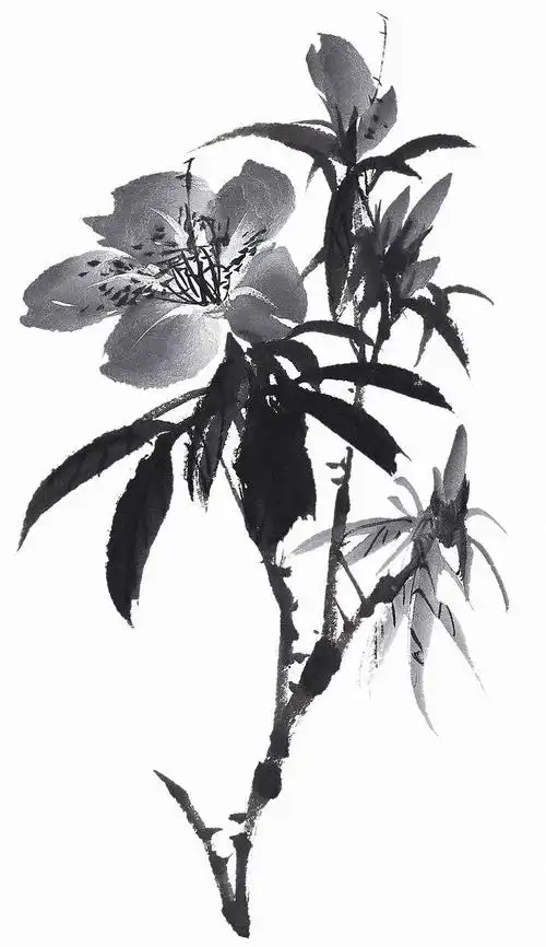 水墨花朵图