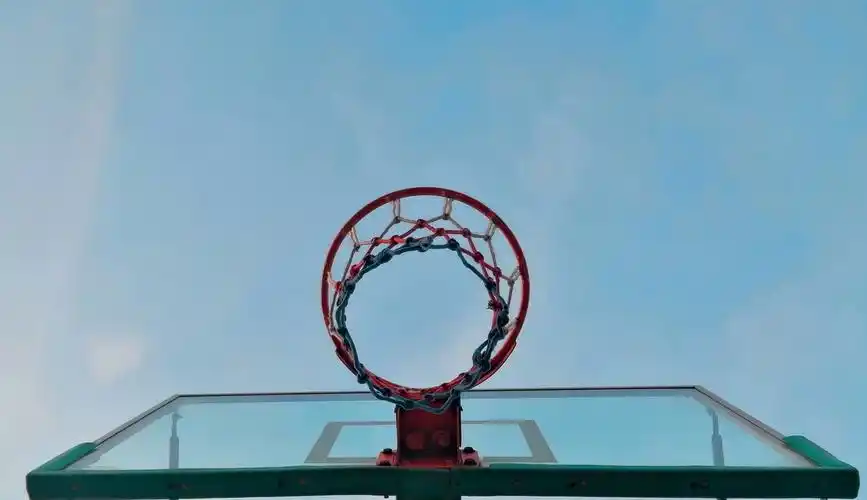 学校的篮球框记录此刻
