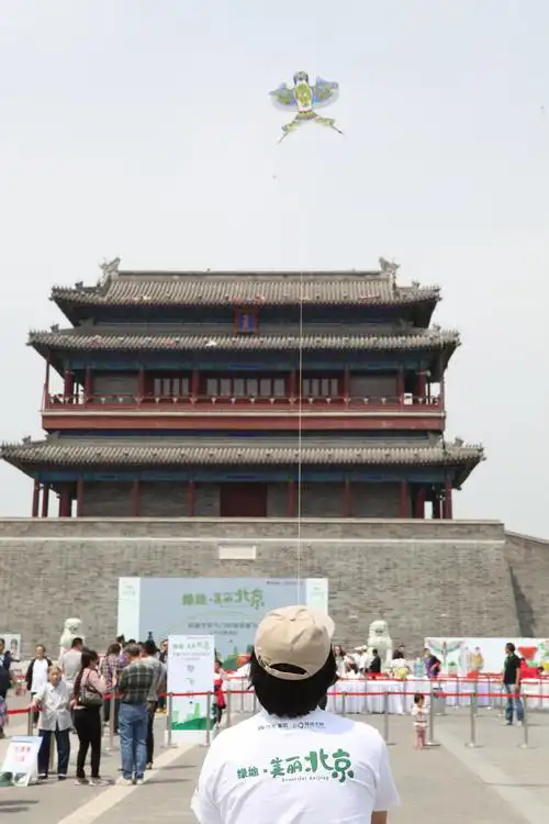 "绿地·美丽北京"2014环保风筝节"九门齐飞"