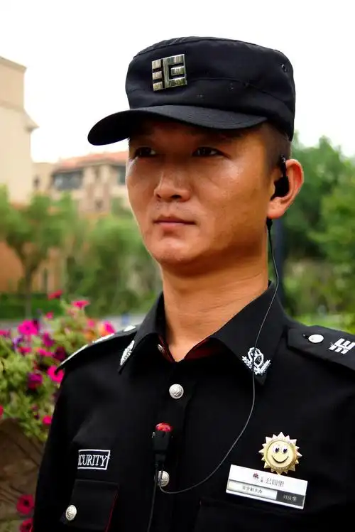 威武的保安