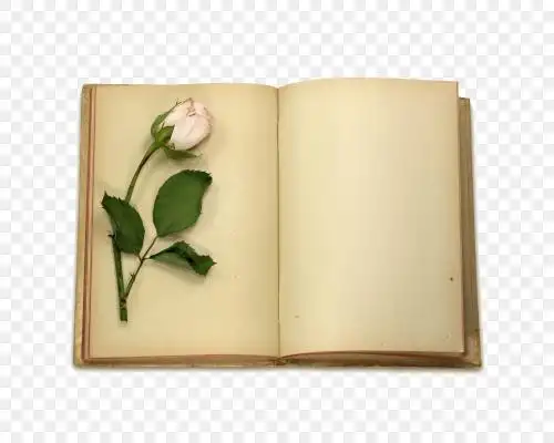 翻开书页图片
